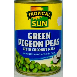 Tropical Sun - Green Pigeon...