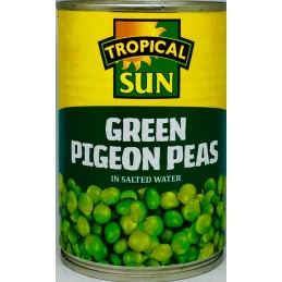Tropical Sun - Green Pigeon...
