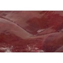 Cow Liver IKG