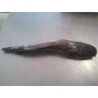 Whole Catfish 2.5KG