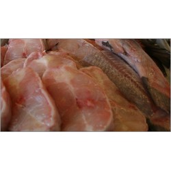Cat Fish Steak 1kg