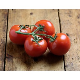 Fresh Tomato per kilo