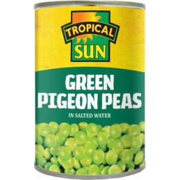 Tropical Sun Green Pigeon...