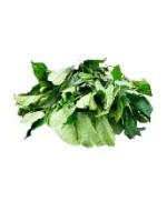 Fresh Ugu Leaf Bunch