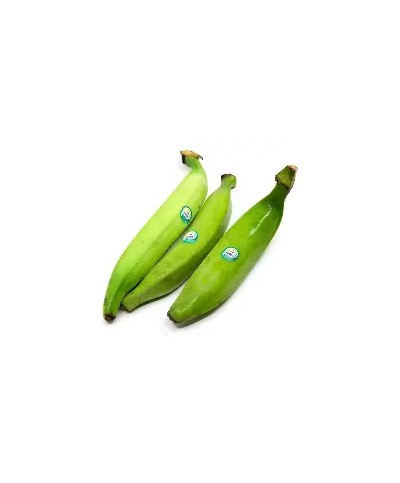 Green Plantain 1 piece