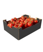 Fresh Tomatoes 5kg
