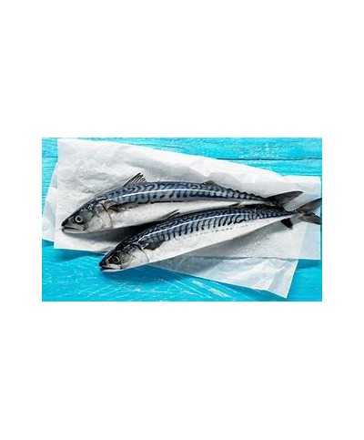 Frozen Mackerel  Fish 2kg