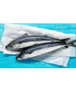 Frozen Mackerel  Fish 2kg