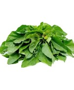 Fresh Tete / Callaloo Bunch