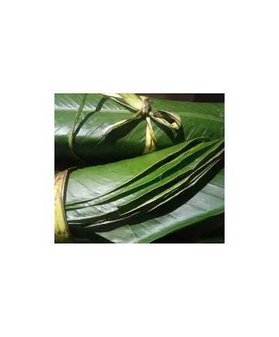 Fresh Ewe Moi Moi Leaf 1 Pack