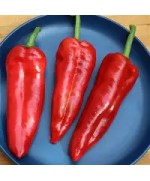 Fresh Long Red Pepper 3pcs
