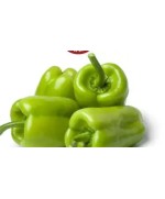 Fresh Green Cap Pepper 1kg