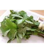 Fresh Oha Leaf Bunch