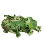 Fresh Uziza Leaves Bunch