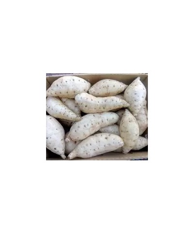 Ugandan White Sweet Potatoes 1kg